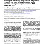 2013-Therapeutic-effects-of-human-UCMSCs-against-acute-tubular-necrosis-quantified-through-measures-of-iNOS-BMP-7-and-Bcl-2 Therapeutic effects of human umbilical cord-derived mesenchymal stem cells against acute tubular necrosis quantified through measures of iNOS, BMP-7 and Bcl-2*