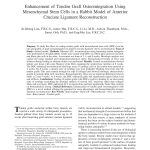ACL MSC Ligament Reconstruction Enhancement of Tendon Graft Osteointegration Using Mesenchymal Stem Cells in a Rabbit Model of Anterior Cruciate Ligament Reconstruction