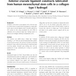 ACL Mesenchymal Stem Cell Anterior cruciate ligament constructs fabricated from human mesenchymal stem cells in a collagen type I hydrogel