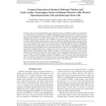 Common_Expression_of_Stemness_Molecular_Markers_an Common Expression of Stemness Molecular Markers and Early Cardiac Transcription Factors in Human Wharton’s Jelly-Derived Mesenchymal Stem Cells and Embryonic Stem Cells