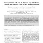 MSC Wharton Jelly Biological Property Therapeutical Potential Mesenchymal Stem Cells from the Wharton’s Jelly of the Human Umbilical Cord: Biological Properties and Therapeutic Potential