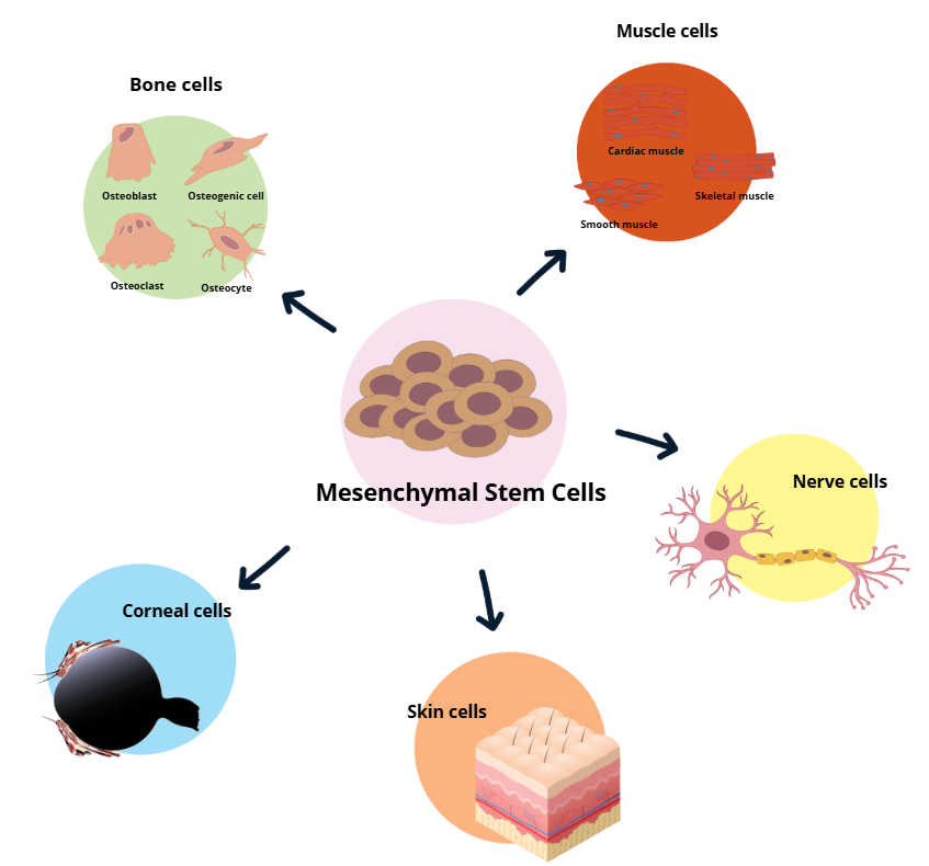 Screenshot 2025 06 08 014527