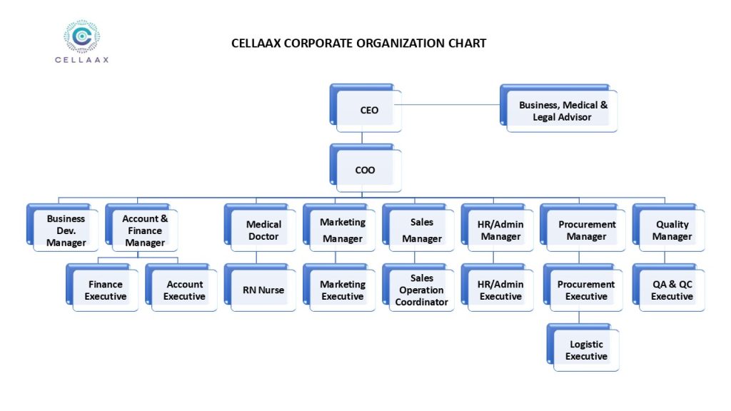 CELLAAX CORPORATE ORGANIZATION CHART website update